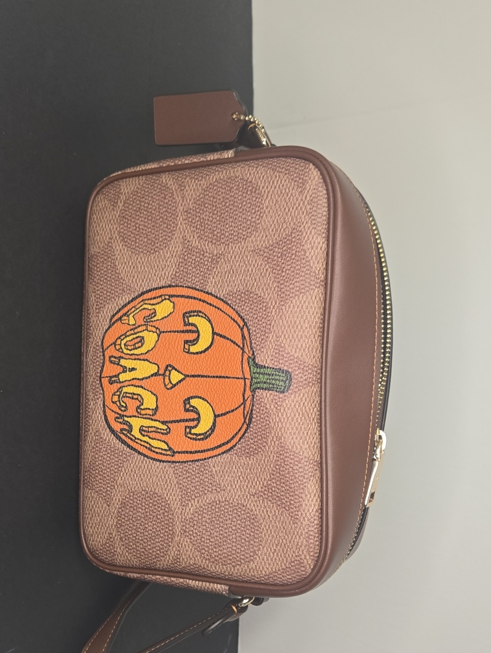 Coach Signature Crossbody with Pumpkin 🎃 Halloween Collection 2025 🕷️